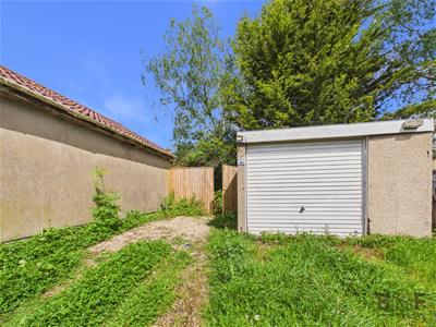 Picture 24
